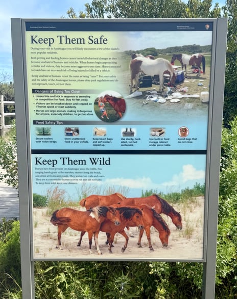 Assateauge Keep them safe