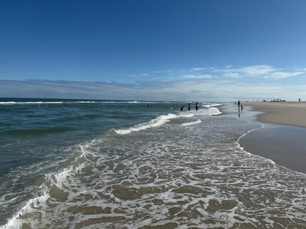 Assateauge seashore
