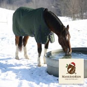 Equine hydration winter ManeAndRein