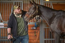 Equine tnerapy for vets