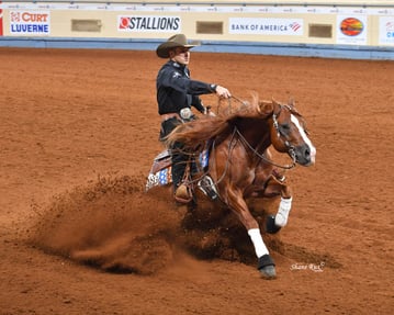SR Reining Horse Name Electric Wind