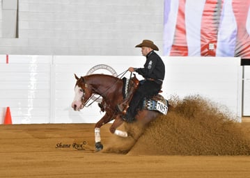 The Congress Champion in the Level 4 Open Futurity was Franco Bertolani,