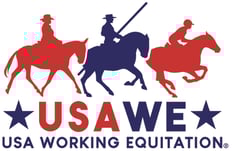 USAWE_Logo-R_CMYK_72