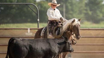 cattle trial we