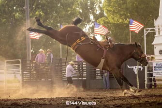 harding day rodeo