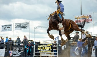 harding days rodeo