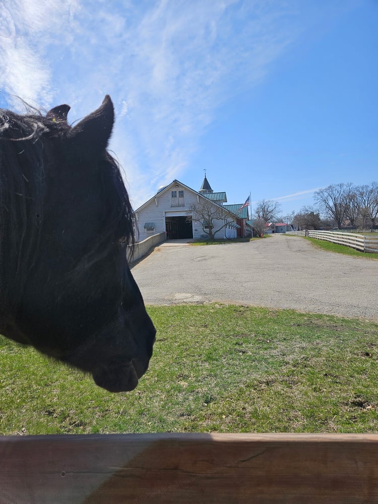 R Double J Ranch