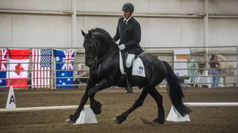 we dressage