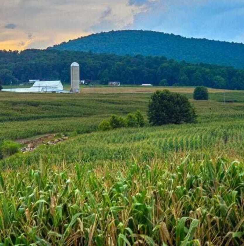 Volunteers deliver produce to a Midwest food bank